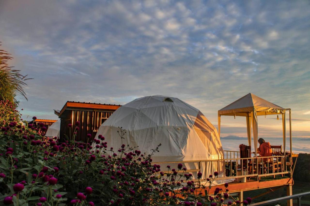 ภูเบิกฟ้า แคมป์ปิ้ง Luxury tent