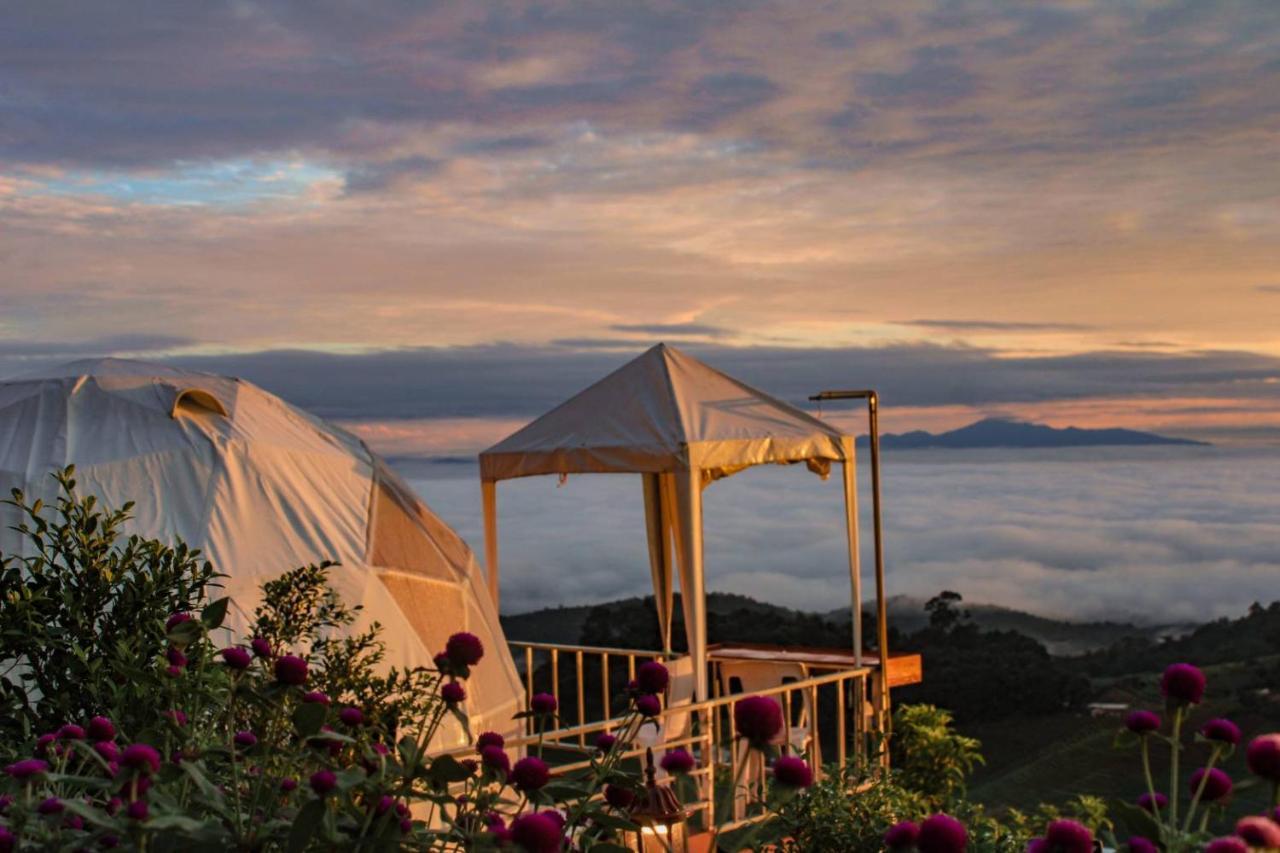 ภูเบิกฟ้า แคมป์ปิ้ง Luxury tent Mon Jam